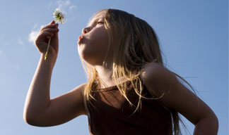  headerfoto_sommer.jpg